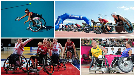 Para Sports of Different Types of Sports Wheelchairs