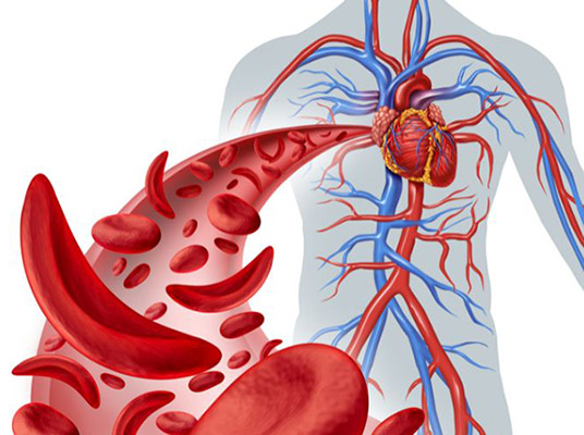 An illustration of an improved breathing system